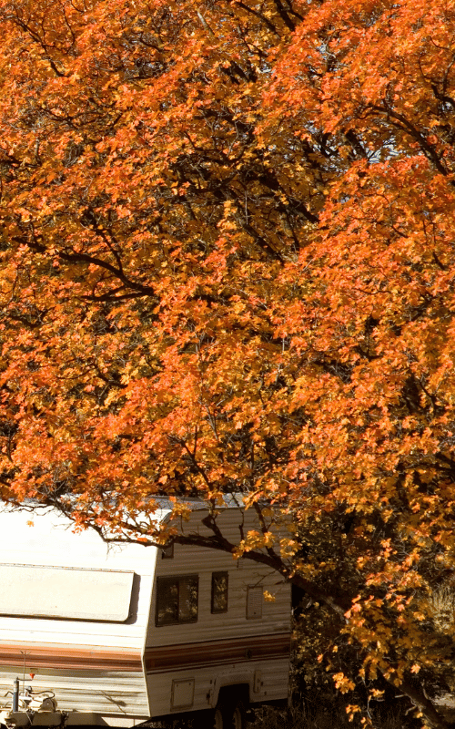 Herbstsaison-Stellplatz