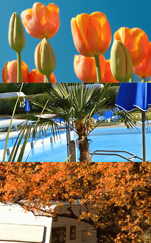 Stellplatz für Frühjahr/Sommer/Herbst